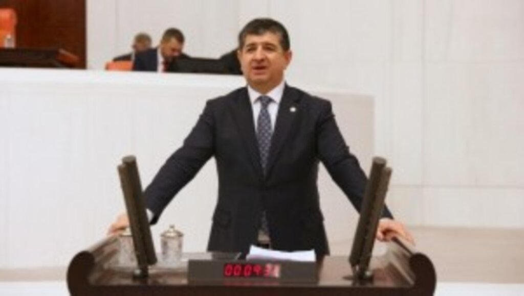 Milletvekili Cavit Arı; 