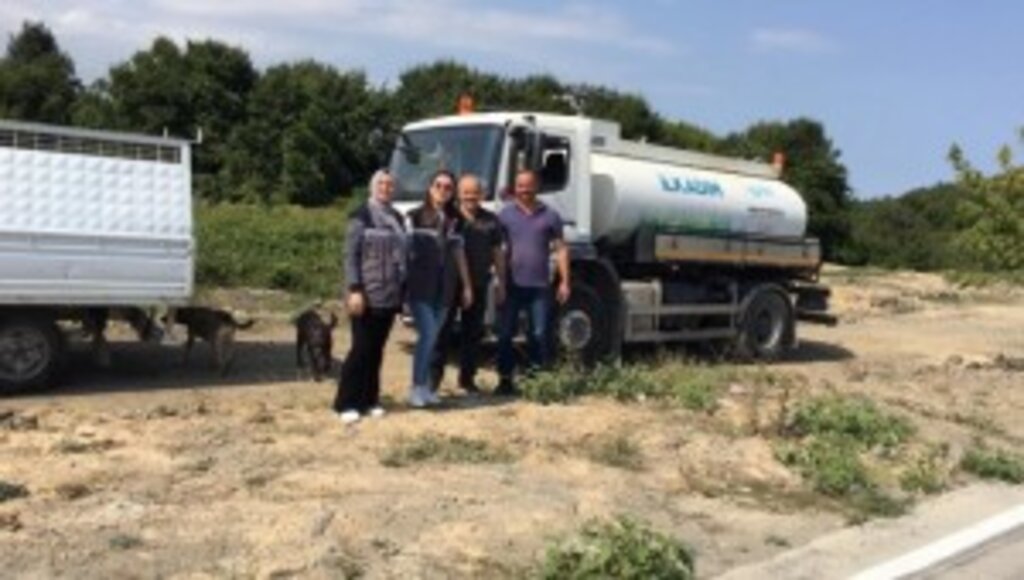 SICAK YAZ GÜNLERİNDE İLKADIM’DAN CAN DOSTLARINA SU VE MAMA TAKVİYESİ