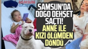 Samsun'da Dogo dehşet saçtı!