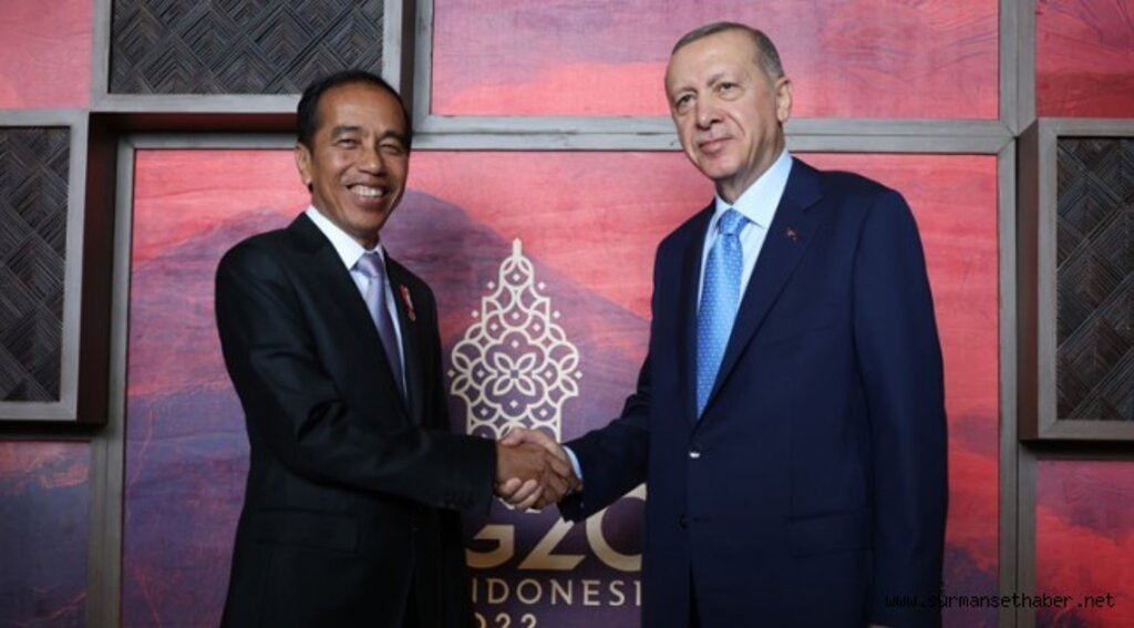 Cumhurbaşkanı Erdoğan, Endonezya Devlet Başkanı Widodo ile bir araya geldi