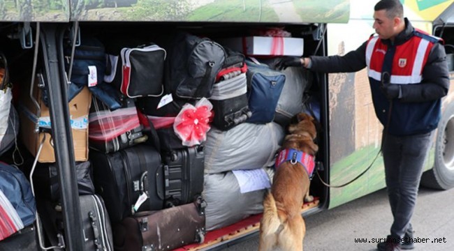  Bolu'da Narkotik Operasyonlarının Gözde Köpeği 