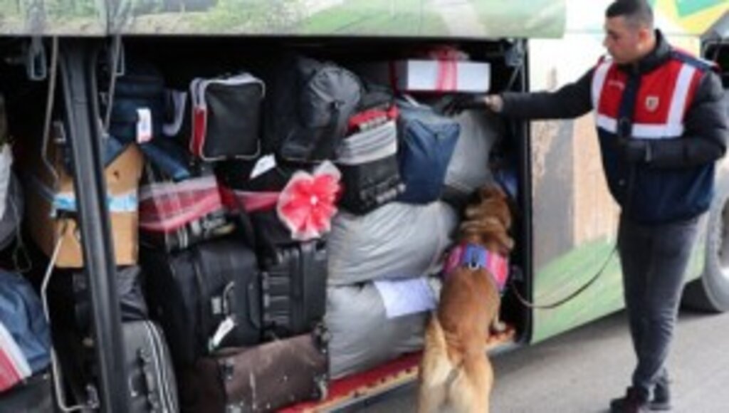  Bolu'da Narkotik Operasyonlarının Gözde Köpeği 