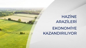 HAZİNE ARAZİLERİ EKONOMİYE KAZANDIRILIYOR