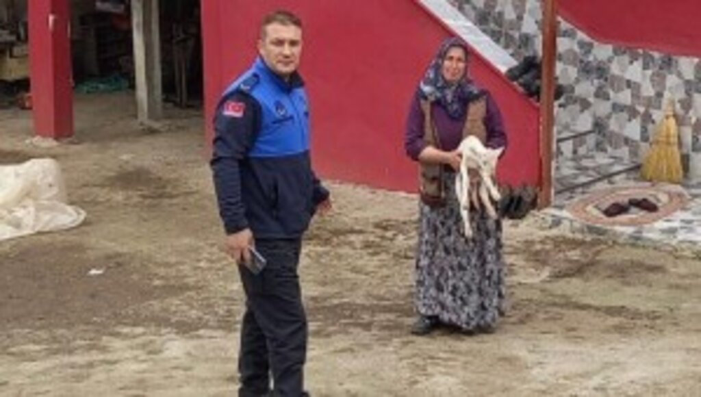 Zabıtadan kayıp kuzu anonsu