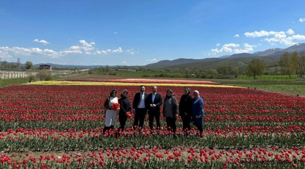 Orhan Kırcalı: Her alanda kadının katılımını ve rolünü güçlendireceğiz