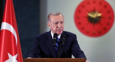 Cumhurbaşkanı Erdoğan: Başıboş sokak hayvanlarıyla ilgili artan şikâyetlerin farkındayız