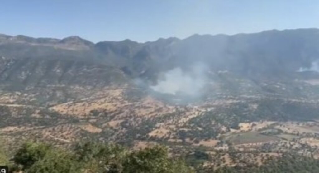 PKK'lı teröristler Türk askerinden gizlenmek için orman yakmaya başladı