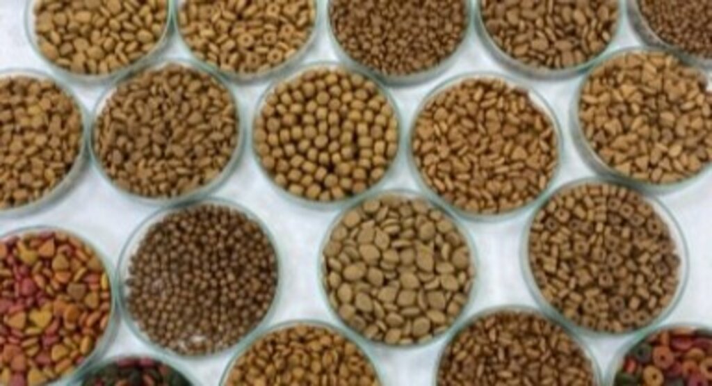 91 ülkedeki patili dostların maması Türkiye’den