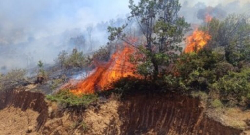 Bingöl’de 68 hektar alan yangında zarar gördü