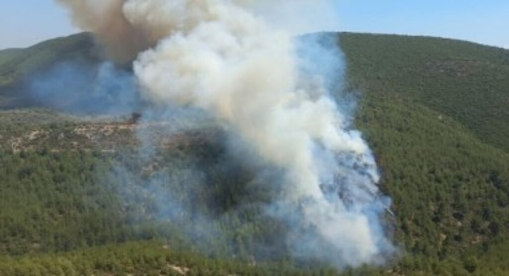 Bodrum Pınarlıbelende Orman Yangını