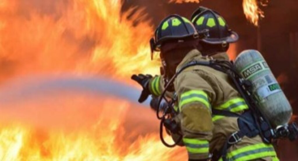 Bursa’da ormanlık alanda yangın