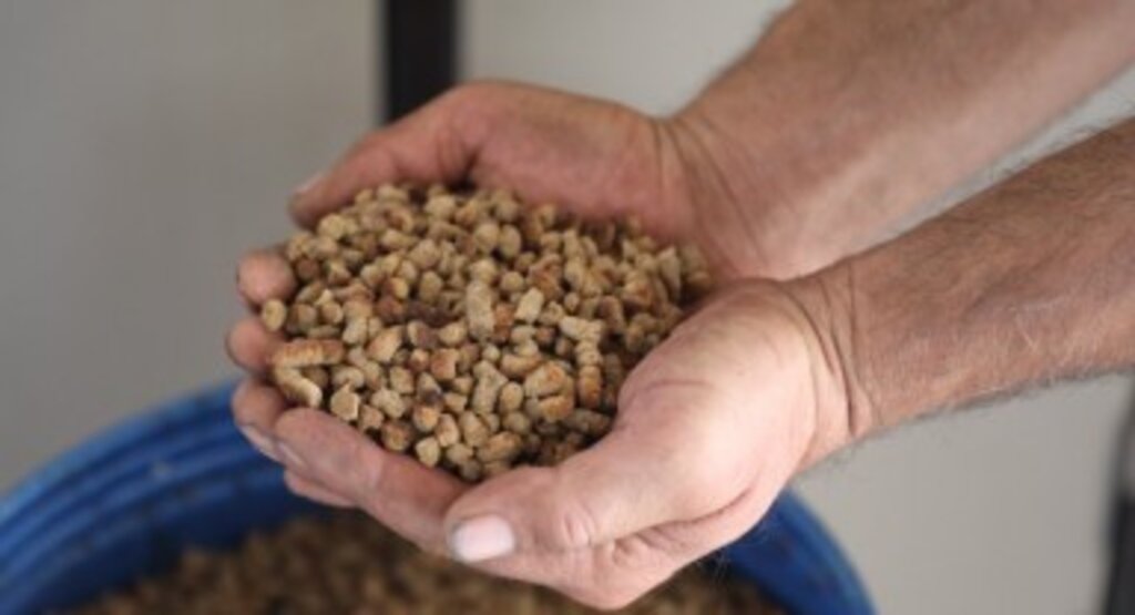 Büyükşehir Can dostlar İçin Mama Üretiyor, Tasarruf Sağlıyor