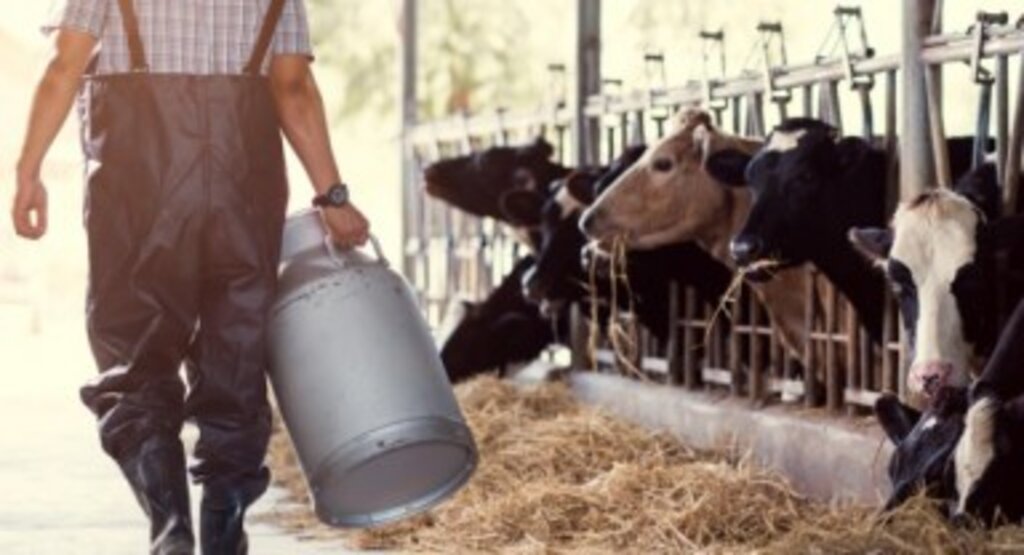 Chp'li Av. Cavit Arı; “Süt ve Süt Üreticisi Zor Durumda; Tarım ve Orman Bakanlığı Seyirci Olmaya Devam Ediyor”