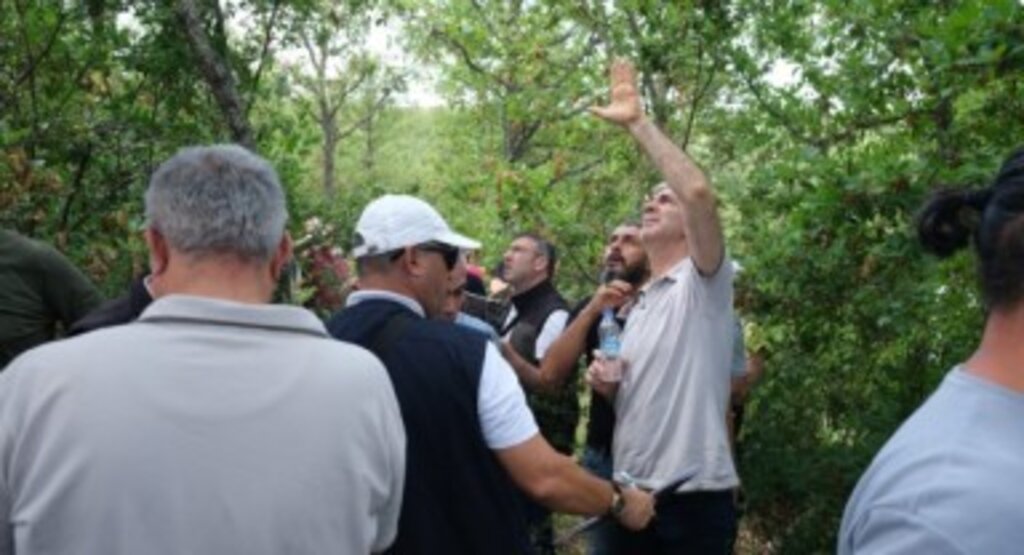 Ekosistemleri İzlemede Avrupa'da Öncüyüz!
