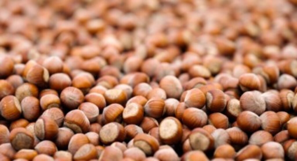 Ferrero, Sürdürülebilir Fındık İçin Kaydettiği Güçlü İlerlemeyi Ve Yeni Dönem Hedeflerini Açıkladı