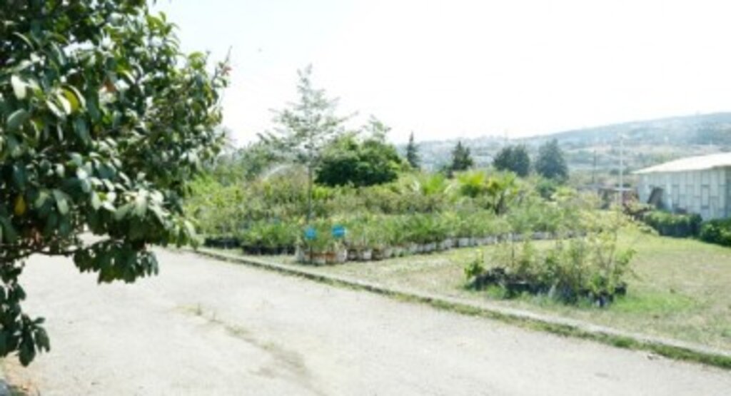 İlkadım’da ‘Ata Tohumu’ seferberliği