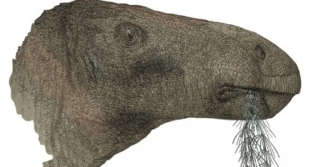 İngiltere'de yeni bir dinozor türüne ait fosil bulundu