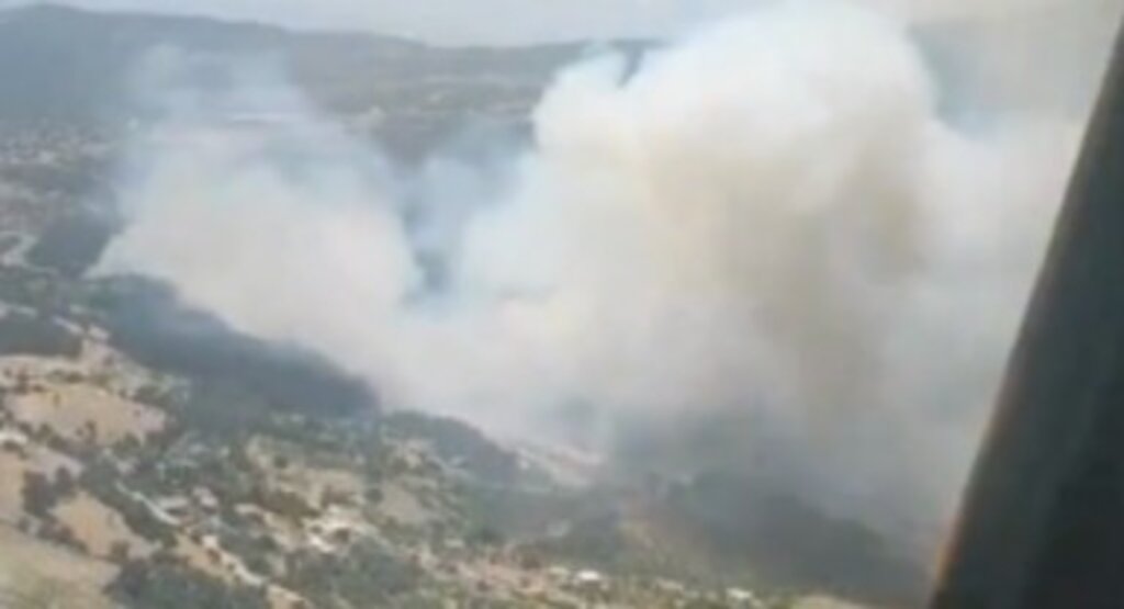 İzmir'de orman yangını: Sabuncubeli Tünelleri trafiğe kapandı