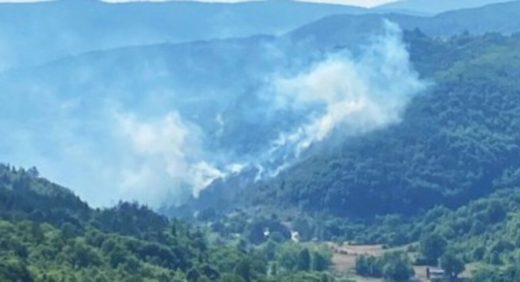 Kastamonu’da bir yangın daha