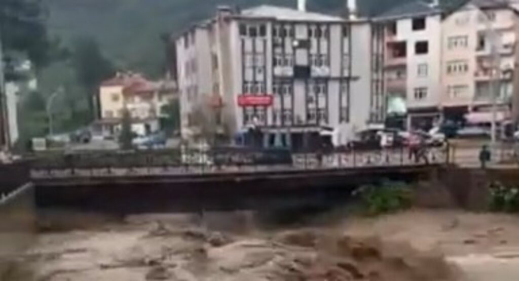 Ordu ve Muş’ta sel felaketi: 2 ölü