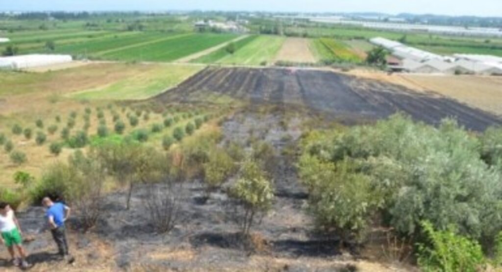 Serik’te Otluk Alanda Meydana Yangın Evlere Sıçramadan Söndürüldü