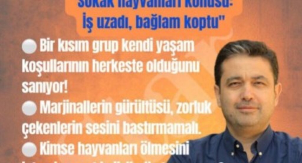 Sokak hayvanları konusu: İş uzadı, bağlam koptu