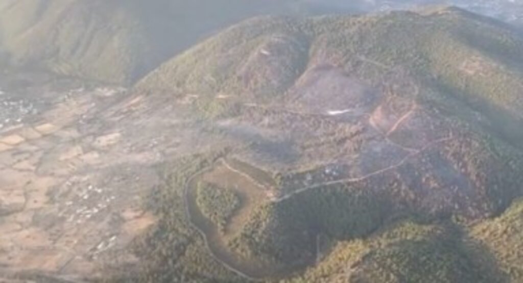 Yangının bilançosu; 100 hektar alan küle döndü