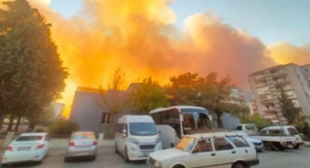 AFAD: İzmir, Aydın, Bolu, Muğla ve Manisa’daki yangınlarda 3.583 kişi tahliye edildi