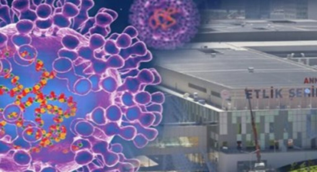 Ankara’da Maymun Çiçeği İddiası