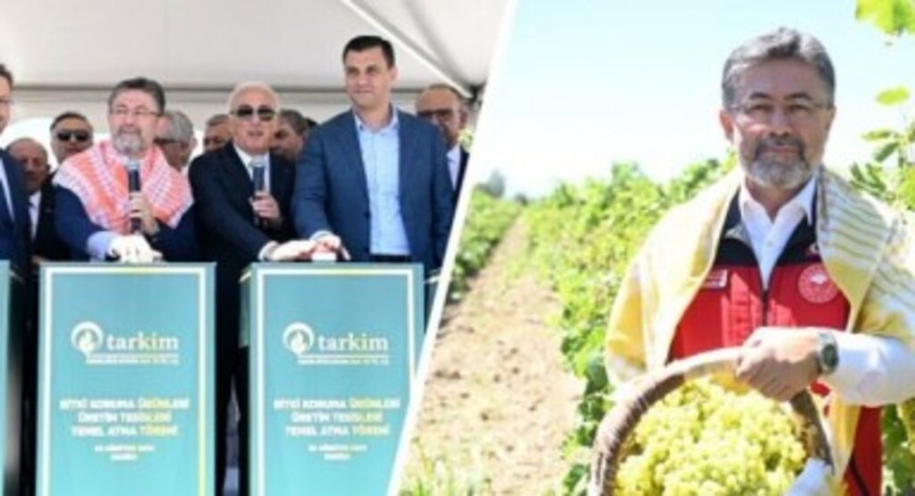 Bakan Yumaklı, Manisa'da Bitki Koruma Ürünleri Üretim tesisleri Temel Atma Törenine Ve Üzüm Hasadına Katıldı