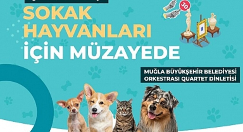 Büyükşehir'den Sokak Hayvanları Yararına Müzayede