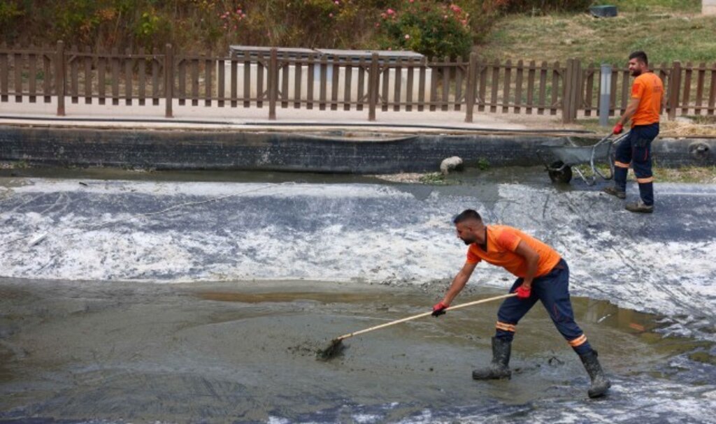 Çankaya Parklarında Bakım Çalışmaları