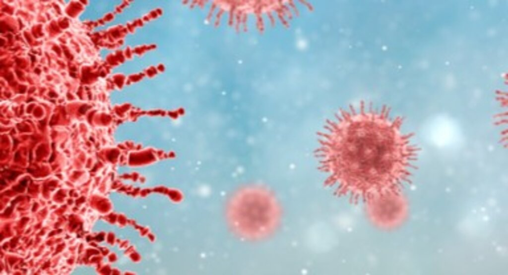 DMM açıkladı! Maymun Çiçeği vakası Türkiye’ye mi sıçradı?