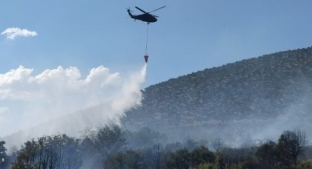 Isparta'da orman yangını