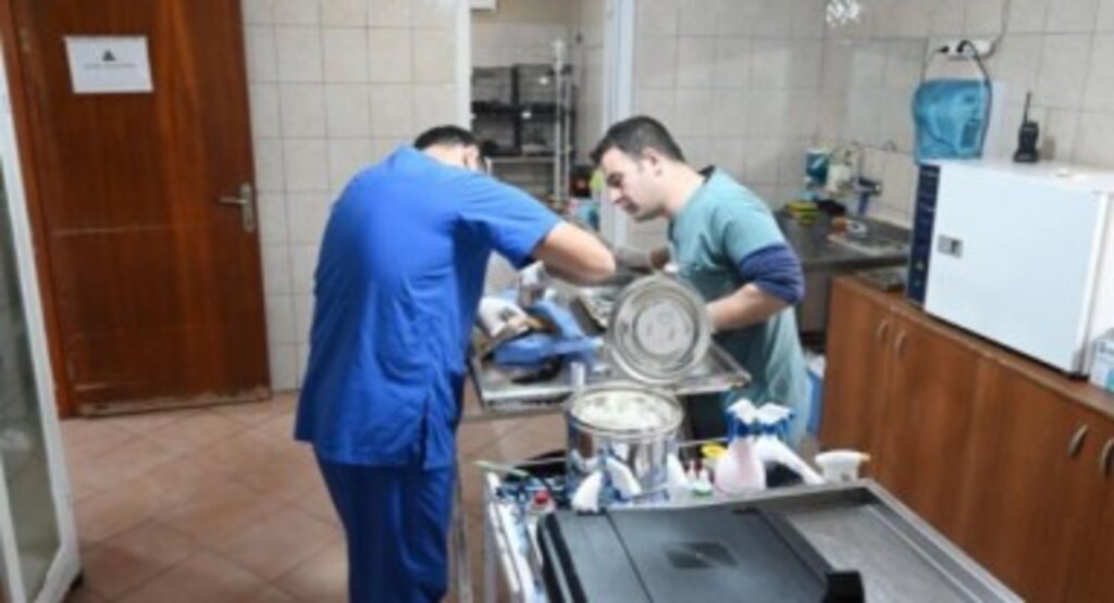 Kemer'de Temmuz ayında 175 hayvan kısırlaştırıldı