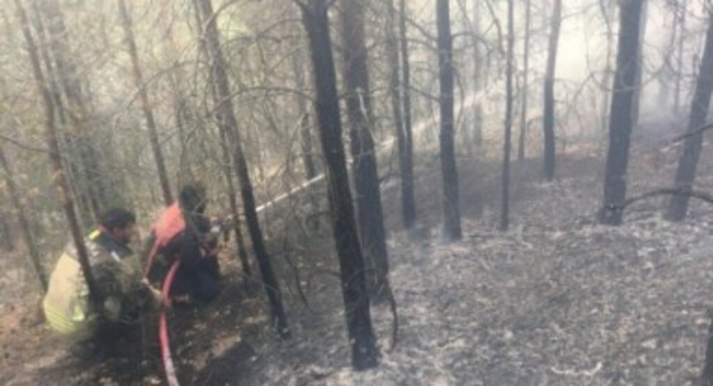 Kızılcahamam’dan Gerede’ye sıçrayan yangın kontrol altına alındı