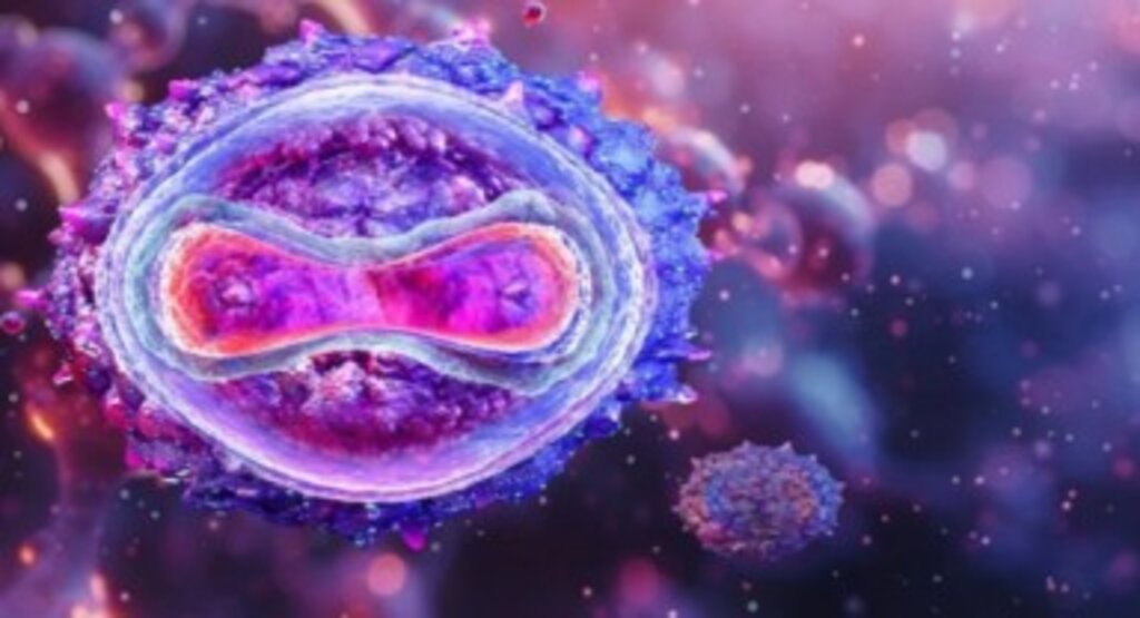 Maymun çiçeği iki ülkede daha görüldü