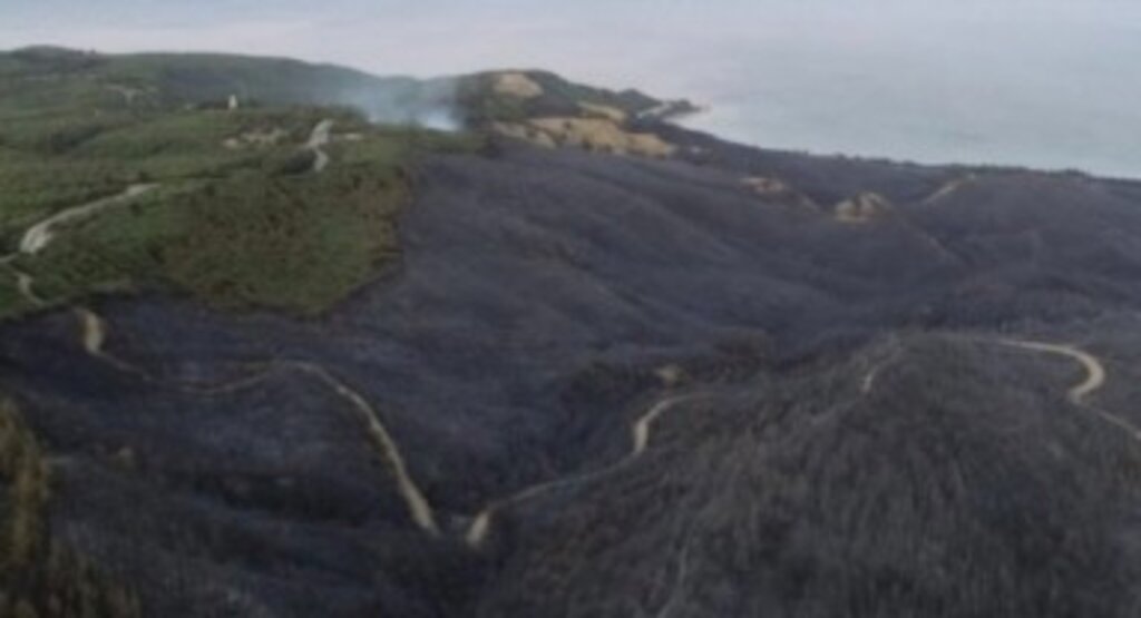 Orman yangınlarının 69’u kontrol altına alındı, 6 bölgede çalışma sürüyor