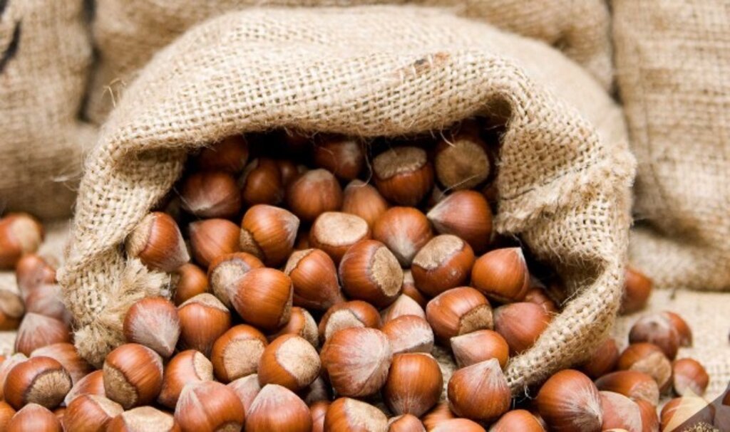 Tmo, 2024/25 Dönemi Kabuklu Fındık Alım Fiyatları Belirlendi