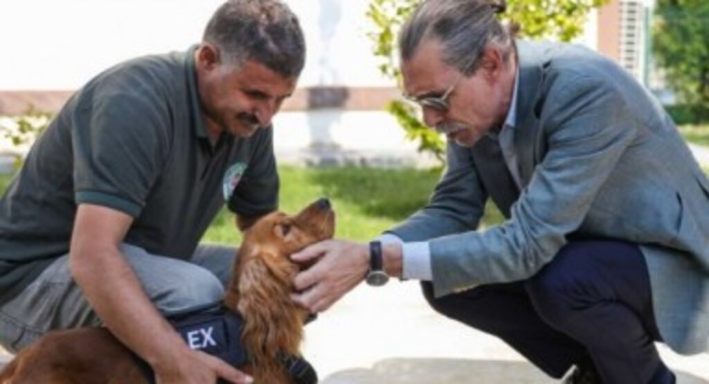 Etimesgut’ta 5 sokak köpeği daha belediyede işe başladı: Erdal Beşikçioğlu duyurdu