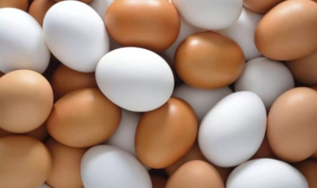 Yumurtalarda ‘Son Tüketim Tarihi’ yerine ‘Tavsiye Edilen Tüketim Tarihi’ geliyor