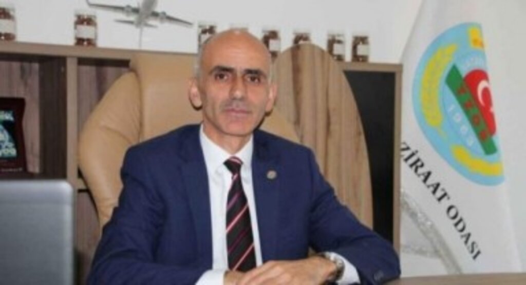 Giresun Ziraat Odası Başkanı Karan: “Fındık kahverengi kokarca istilasıyla karşı karşıya”