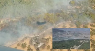 İzmir’deki tarım alanında yangın
