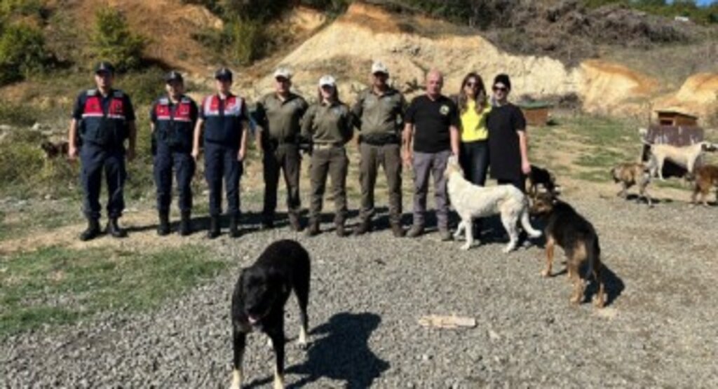 Samsun'da Hayvanları Koruma Günü Kapsamında Sokak Hayvanlarına Destek