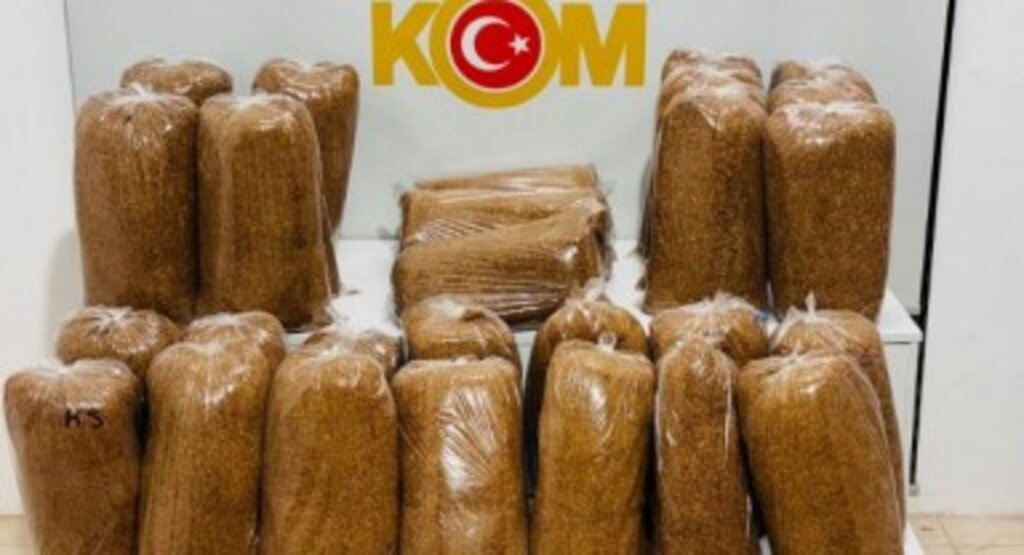 Samsun'da Kaçak Tütün Operasyon