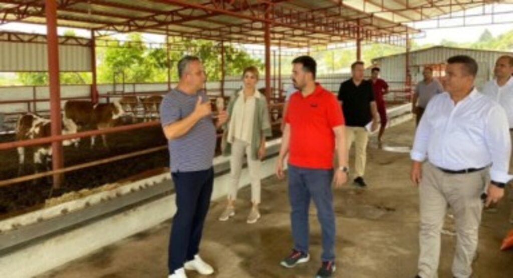 TKDK’dan 6 projeye 51 milyon lira hibe desteği