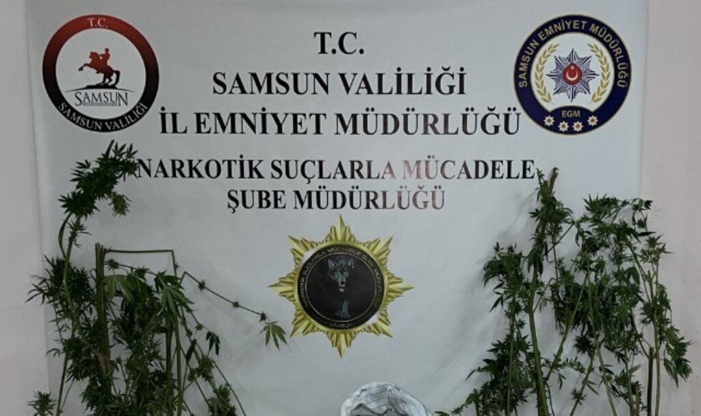 Uyuşturucu Operasyonu: Bafra’da İki Adrese Baskın