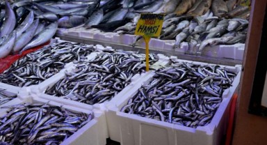 Samsun'da Balık Fiyatlarında Son Durum