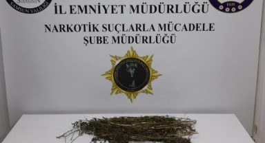 Samsun Emniyeti Çarşamba’da Uyuşturucu Operasyonu Düzenledi