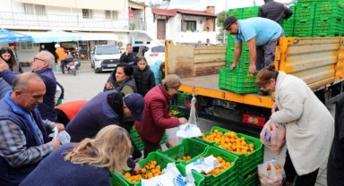 Bodrum Mandalin Festivaline Yoğun İlgi